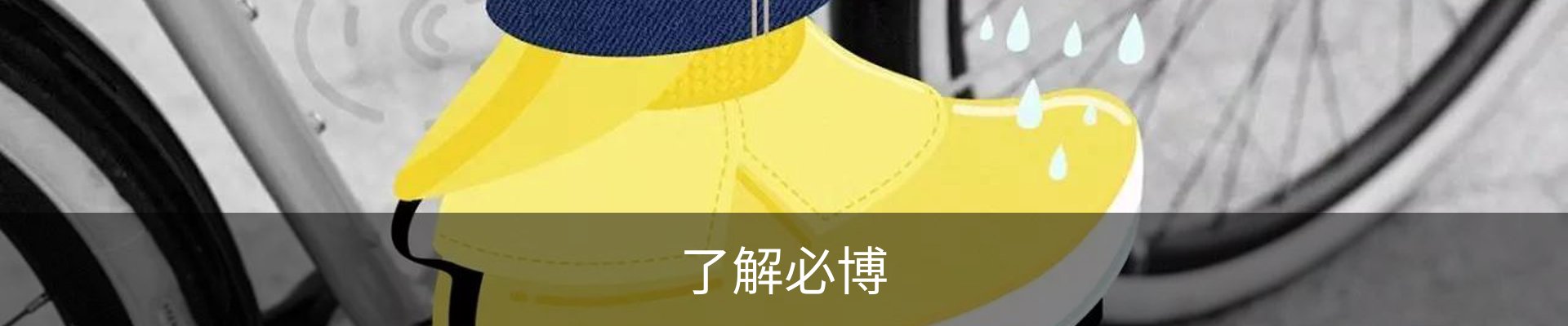 了解必博